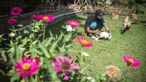Ada Taman Kelinci Lho Gaes di Bambu Apus