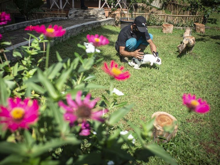 Ada Taman Kelinci Lho Gaes di Bambu Apus