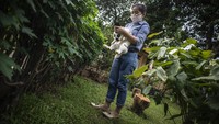 Tak hanya itu, warga dengan gratis bisa berkunjung lho di taman ini.
