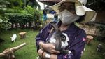 Ada Taman Kelinci Lho Gaes di Bambu Apus