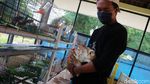 Asyik... Kini Ada Taman Kelinci di Jakarta Timur