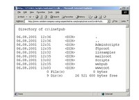 Virus Komputer