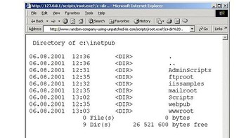 Salah satu virus yang paling terkenal hingga saat ini adalah virus Code Red. Ini menyebabkan kerusakan lebih dari USD 2 miliar pada 2001 dan memiliki kemampuan untuk masuk ke jaringan komputer dan mengeksploitasi kelemahan dalam perangkat lunak Microsoft. Setelah virus menginfeksi komputern, ia secara aktif mencari mesin lain di jaringan untuk diserang. Foto: istimewa