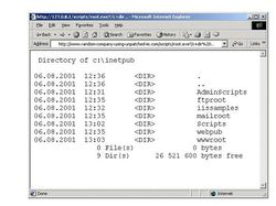 Deretan Virus Komputer Populer, Pernah Kena yang Mana?