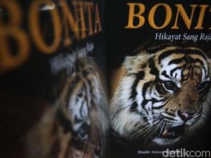 7 Karakteristik Hikayat dan Nilai yang Terkandung di Dalamnya