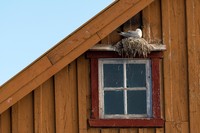 British Ecological Society Photography Competition