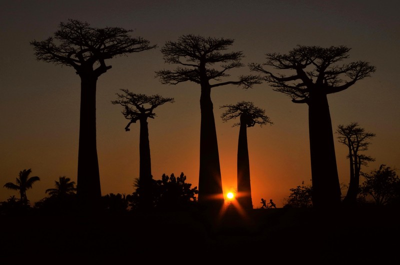 British Ecological Society Photography Competition