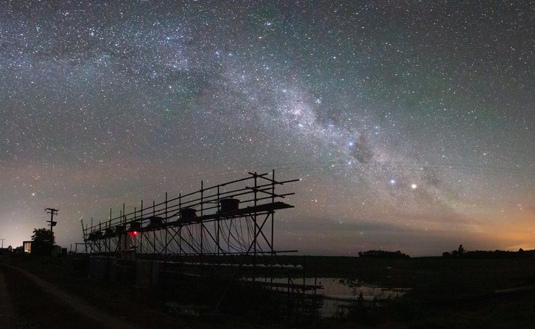 British Ecological Society Photography Competition