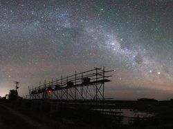 Keindahan Alam dalam Jawara British Ecological Society Photography Competition