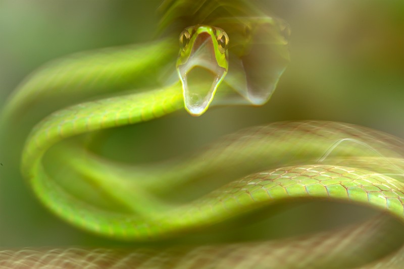 British Ecological Society Photography Competition