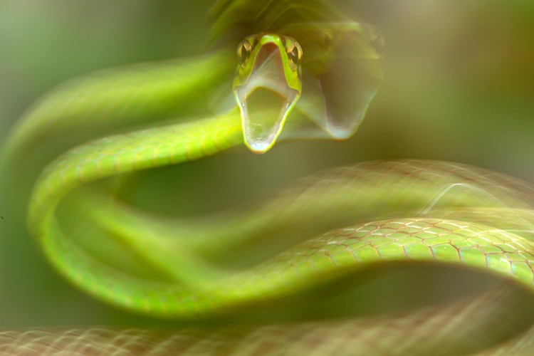 British Ecological Society Photography Competition British Ecological Society Photography Competition