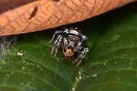 British Ecological Society Photography Competition