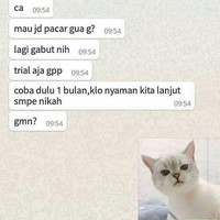 Jadi kayak tawar menawar di pasar ya. Kalau chatnya kayak gini kira-kira gebetannya mau terima nggak? Foto: Twitter/@txtdariwasap