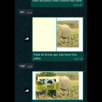 Keren nih idenya, bikin si doi nggak bisa ngelak dan langsung jadian. Tapi hati-hati ya kalau abis itu si doi malah jadi menjauh perlahan. Foto: Twitter/@txtdariwasap