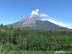 Gunung Semeru Muntahkan Lava Pijar