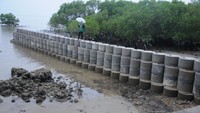 Proyek penyelamatan pantai dari abrasi itu, direncanakan berkelanjutan.