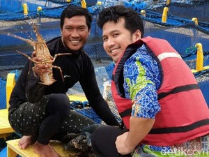 Saat Kran Ekspor Benur Dibuka, Nelayan Trenggalek Ini Justru Budidaya Lobster