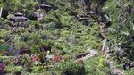 Taman Pulas Garden, Wisata Edukasi di Kala Pandemi