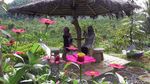 Taman Pulas Garden, Wisata Edukasi di Kala Pandemi