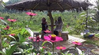 Melepas penat usai menjalani rutinitas, obyek wisata Pulas Garden bisa menjadi alternatif liburan saat pandemi.