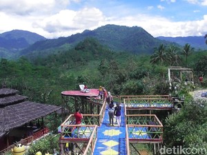 Pulas Garden, Wisata Tanaman Obat Kala Pandemi di Banjarnegara