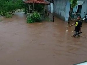 Hujan Deras Guyur Bojonegoro, Genangan Air Mirip Banjir Bandang