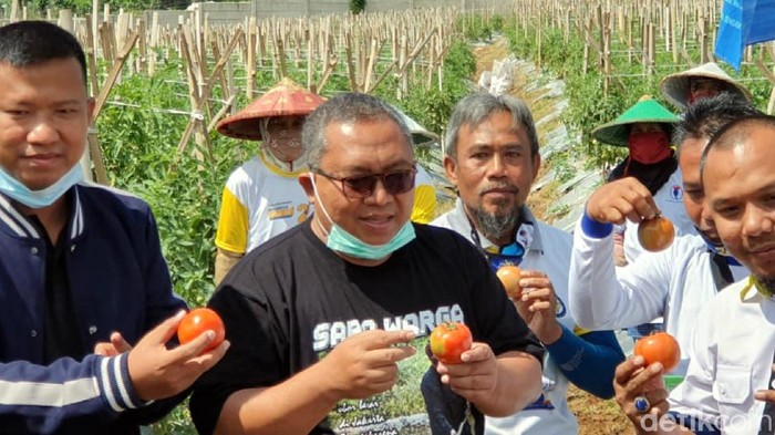 Cabup Sukabumi Marwan Hamami akan kembangkan agro wisata