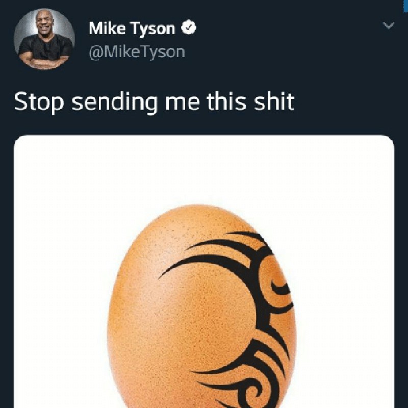 Meme Mike Tyson