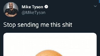 Tweet Mike Tyson ini dijadikan meme untuk ekspresi tidak suka kiriman spam (Pinterest)