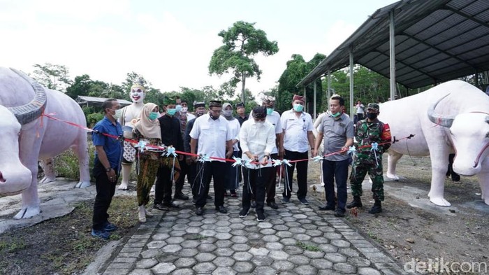 Destinasi wisata Banyuwangi terus tumbuh. Kini Banyuwangi memiliki destinasi wisata kebangsaan, New Antogan yang berada di Desa Bunder, Kecamatan Kabat.