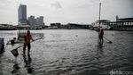 Pelabuhan Kali Adem Kembali Terendam Banjir Rob