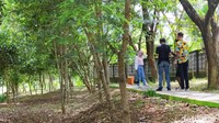 Kaum milenial yang sengaja datang untuk nongkrong atau berfoto ria. Selain itu Taman Hutan Kota ini biasa dijadikan sebagai obyek foto model maupun prewedding (Dadang Hermansyah/detikTravel)