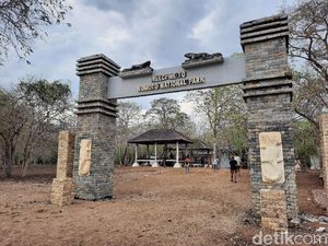 Dibuka dengan Prokes, Wisatawan ke Pulau Komodo Masih Sepi