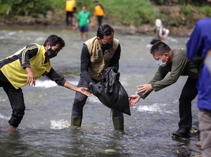 Bima Arya Ikut Bebersih Ciliwung, 2 Jam Angkut 2 Ton Sampah