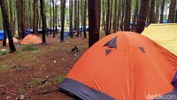 Inilah wisata hutan pinus Lembanna di Kecamatan Tinggimoncong, Kabupaten Gowa, Sulawesi Selatan. Hutan pinus ini sangat cocok buat traveler yang hobi kemping sambil mengisi waktu libur akhir pekan. (Ibnu Munsir/detikTravel)