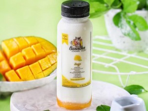 Modal Minim, Wanita Ini Bisnis Yoghurt Beromzet Puluhan Juta