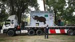 Kaavan, Si Gajah Kesepian Diangkut ke Kamboja