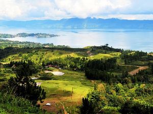 Hari Menanam Pohon, Kenali 5 Kebun Raya Terindah di Indonesia