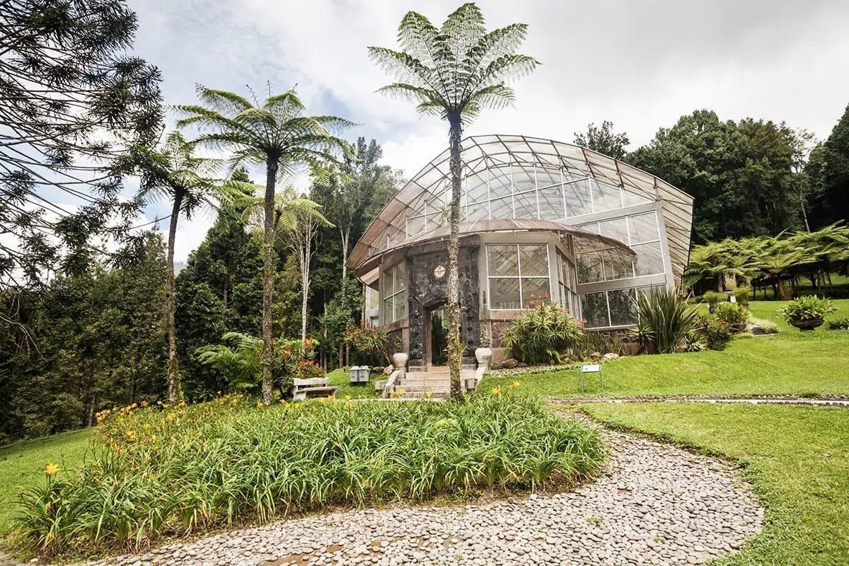 Hari Menanam Pohon, Kenali 5 Kebun Raya Terindah di Indonesia