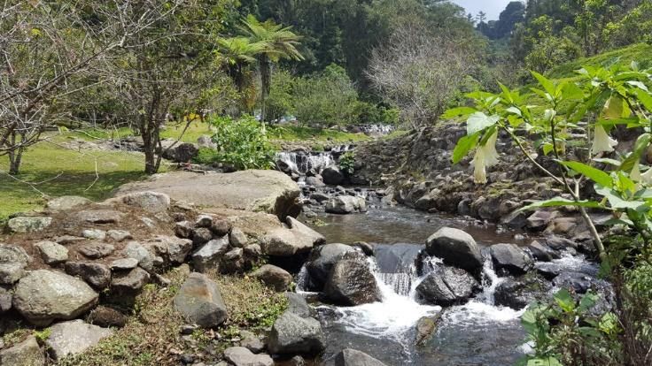 Kebun Raya