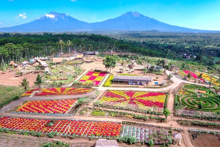 Kebun warna-warni