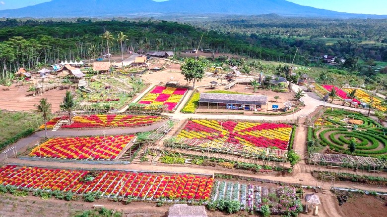 Kebun warna-warni Kebun warna-warni