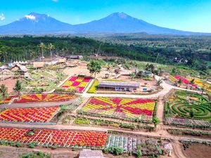 4 Desa Wisata Ini Tawarkan Agrowisata, Apa Keistimewaannya?
