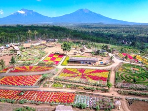 4 Desa Wisata Ini Tawarkan Agrowisata, Apa Keistimewaannya?