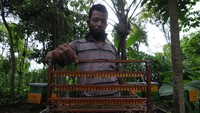 Peternak memanen royal jelly lebah Melifera, di Mliwis, Cepogo, Boyolali, Jawa Tengah, Senin (30/11/2020).