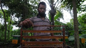 Manisnya Bisnis Royal Jelly di Boyolali