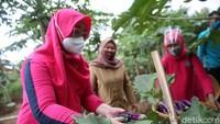 Saat panen, warga juga menerapkan protokol kesehatan.