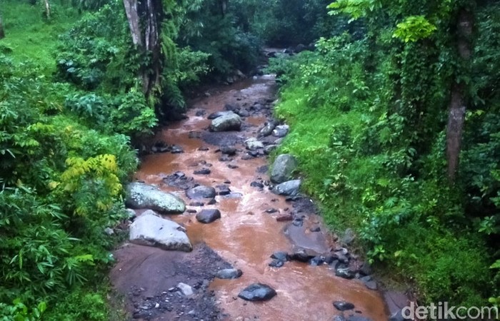 8 Kecamatan di Banyuwangi Rawan Banjir dan Tanah Longsor