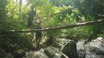 Foto: Air Terjun Kebanggaan Polewali, Salu Sitammu