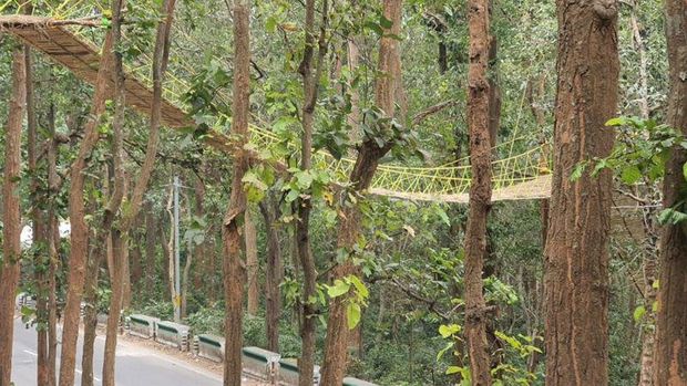Jembatan khusus reptil